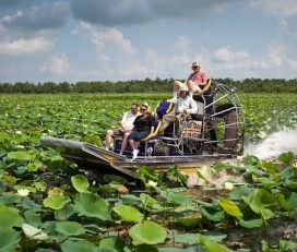 Airboat Tours By Arthur