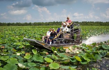 Airboat Tours By Arthur